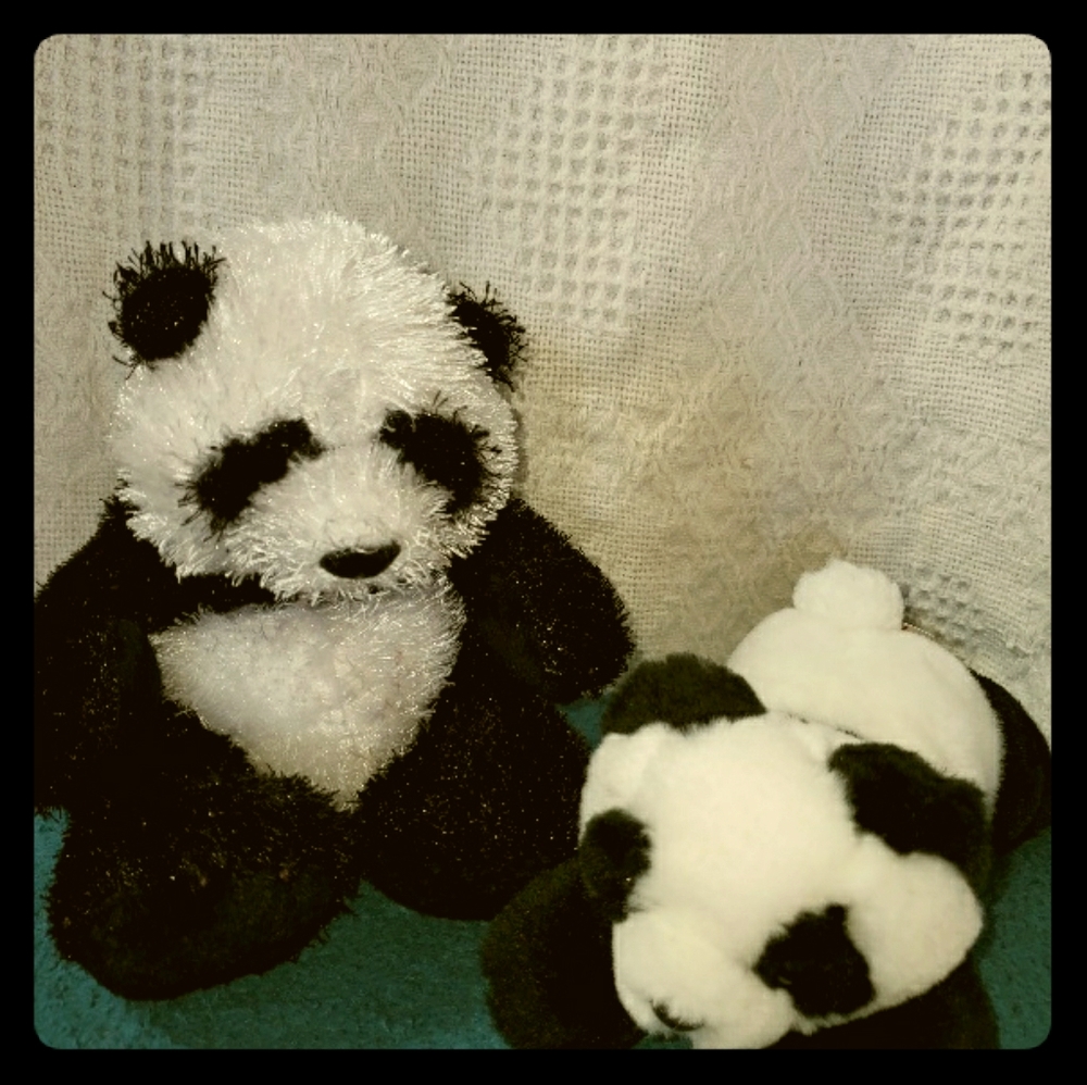 Ganz Panda & his panda friend from the zoo